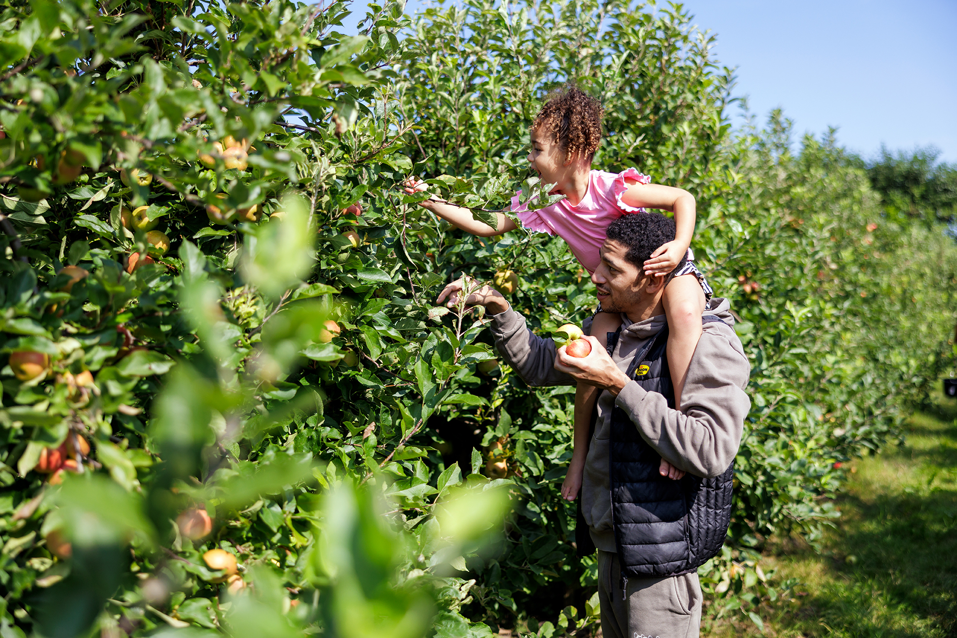 appels plukken Buytenhof