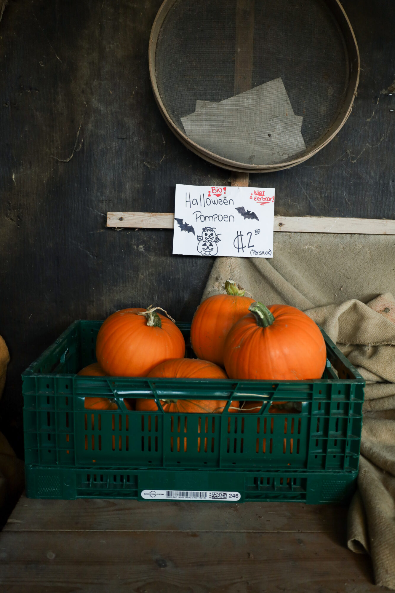 Halloween Pompoen biologisch