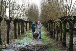 Zuid Hollands Landschap