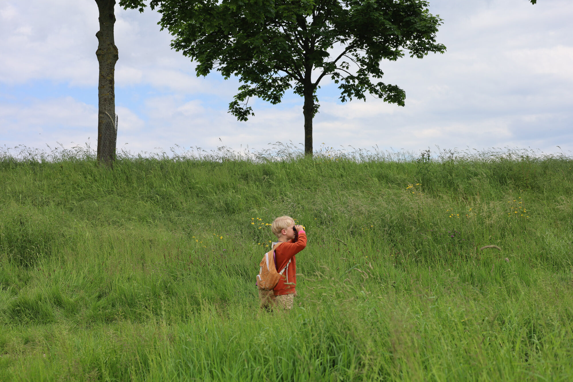 Boerennatuur educatie Buijtenland van Rhoon