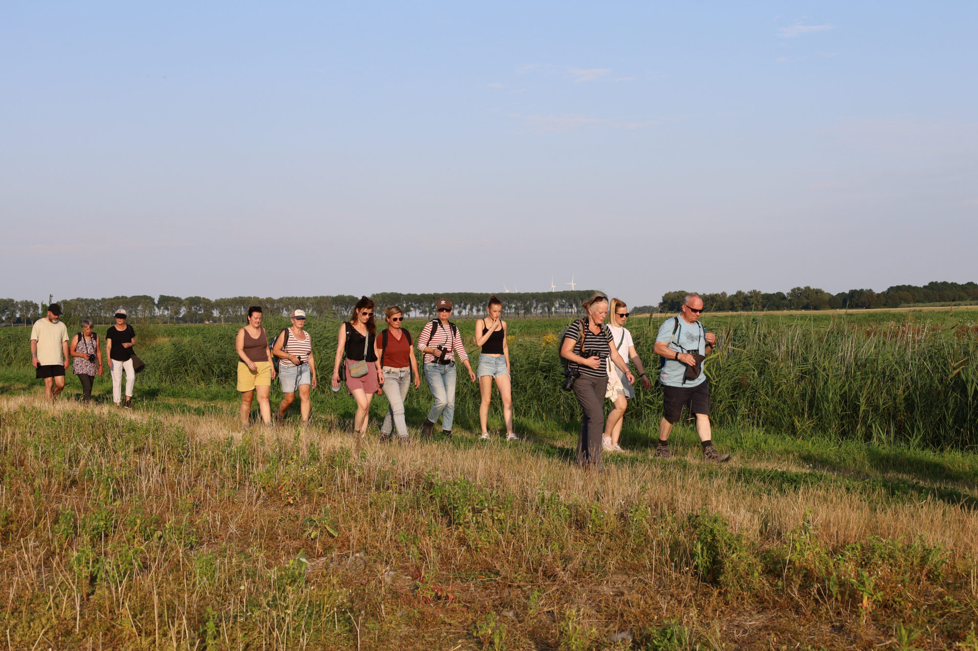 zomerwandeling zedenpolder struinpad