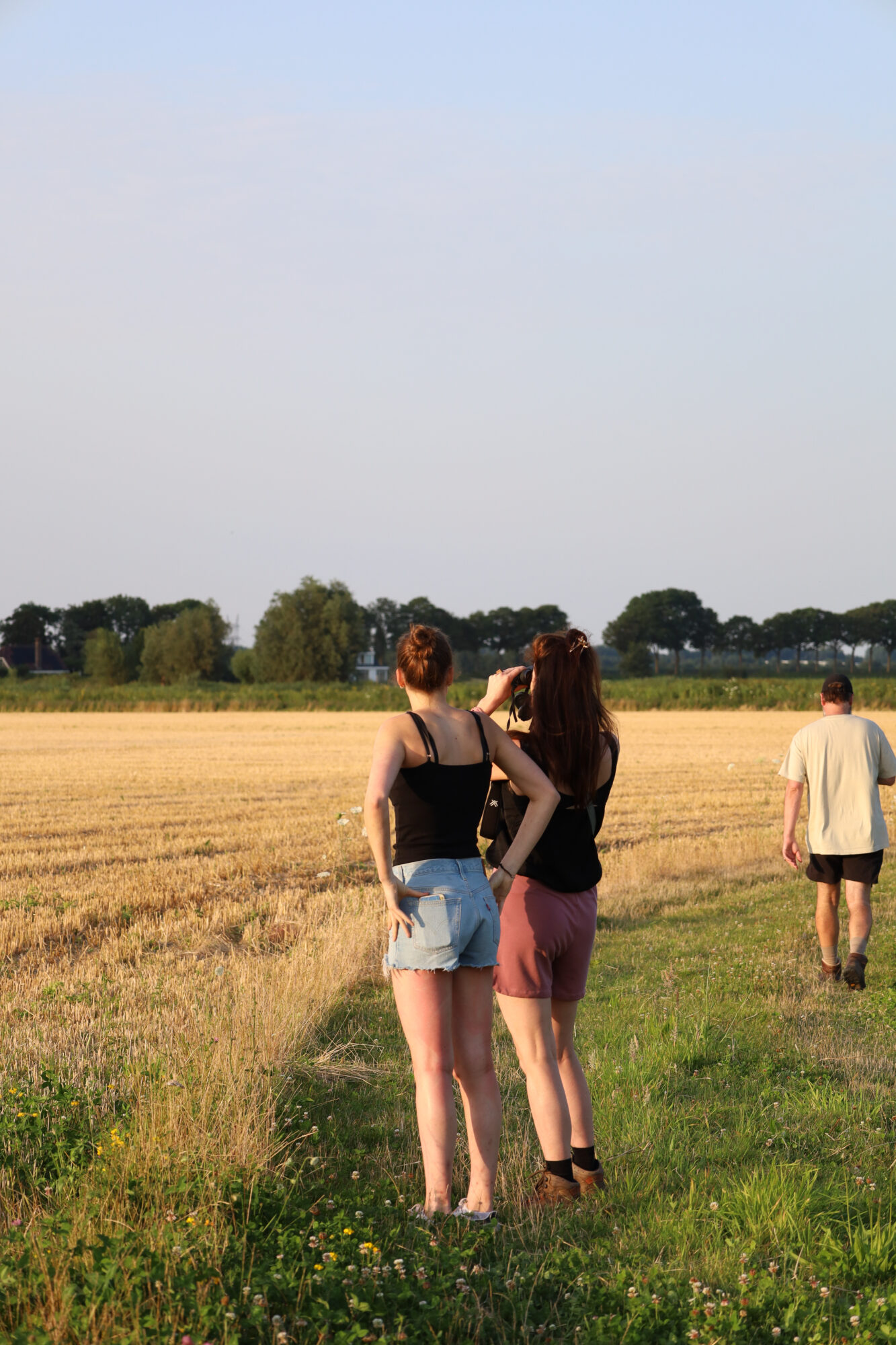 Zegenpolder uitzicht