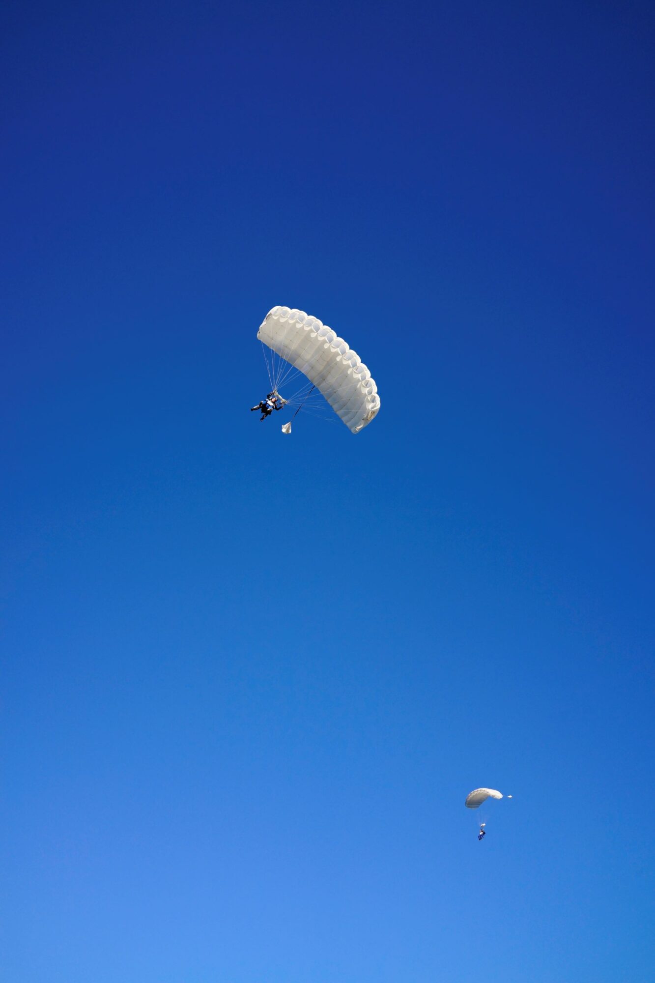 Skydive Rotterdam