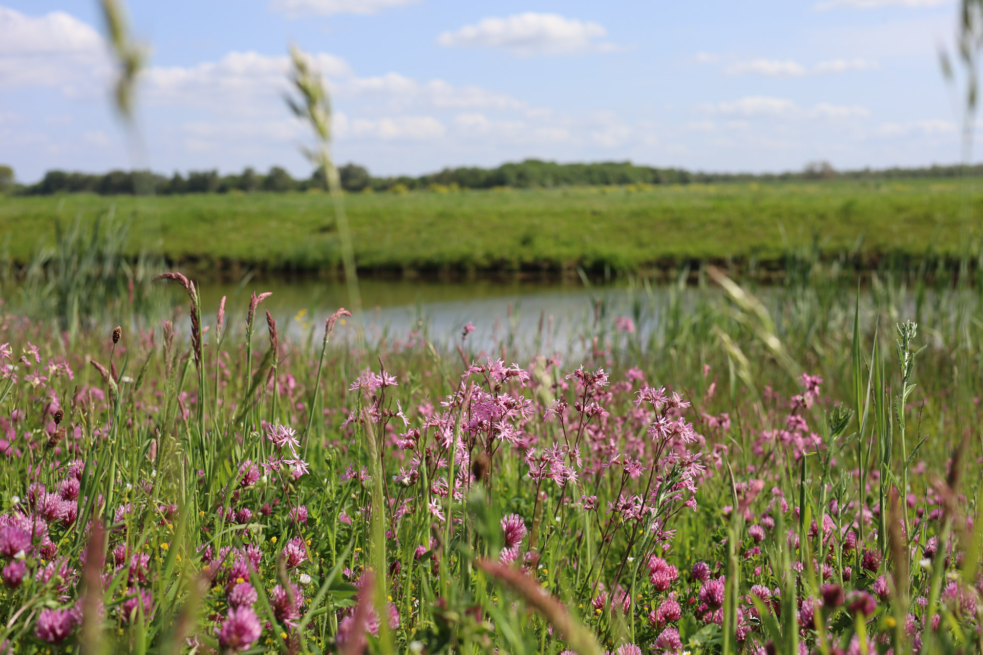 Monitoring Buijtenland van Rhoon 2023