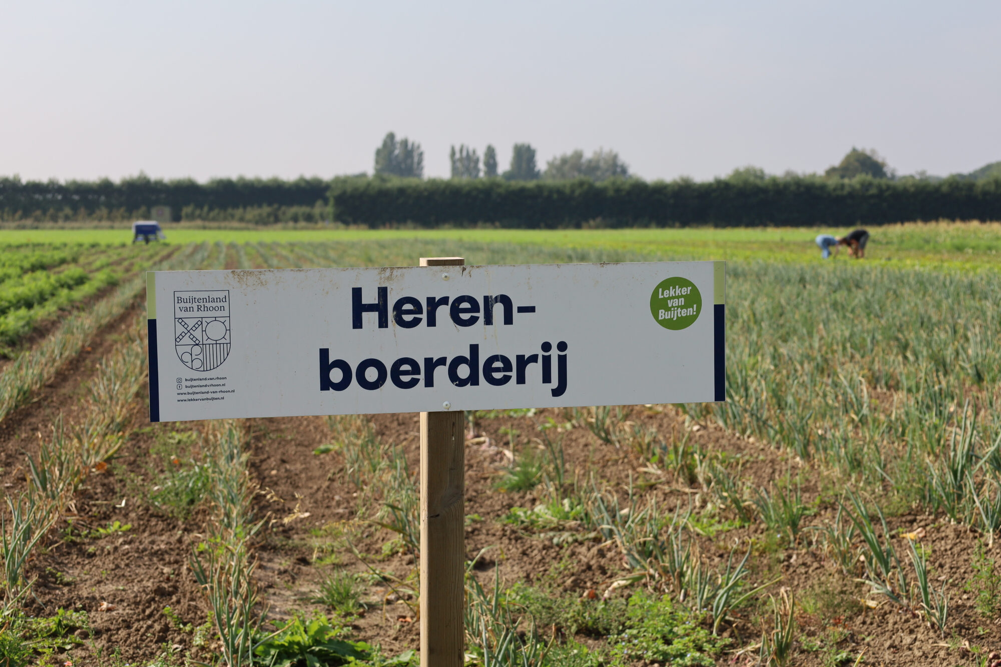 Herenboeren Rhoon